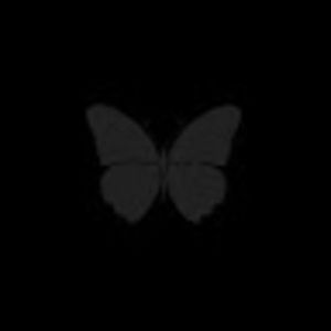 Meet your Posher, Ajiah